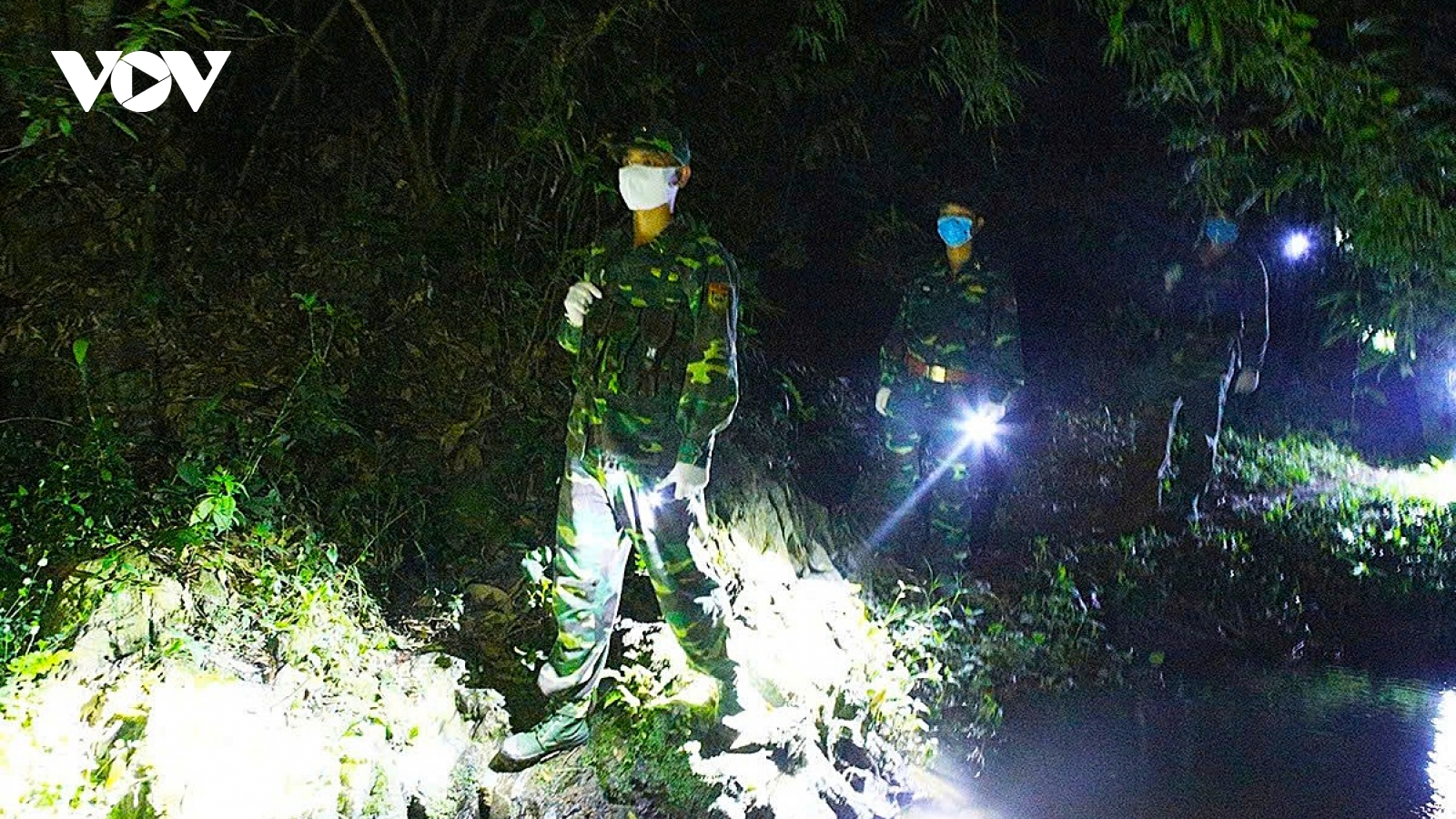 Nghệ An siết chặt vận chuyển gia súc trái phép qua biên giới