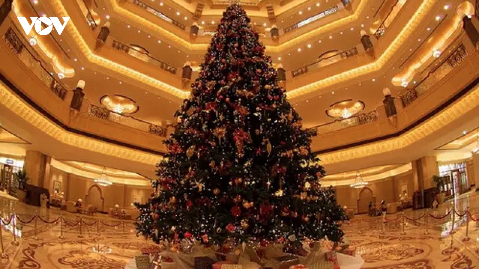 Chiêm ngưỡng những cây thông Noel đắt đỏ nhất thế giới