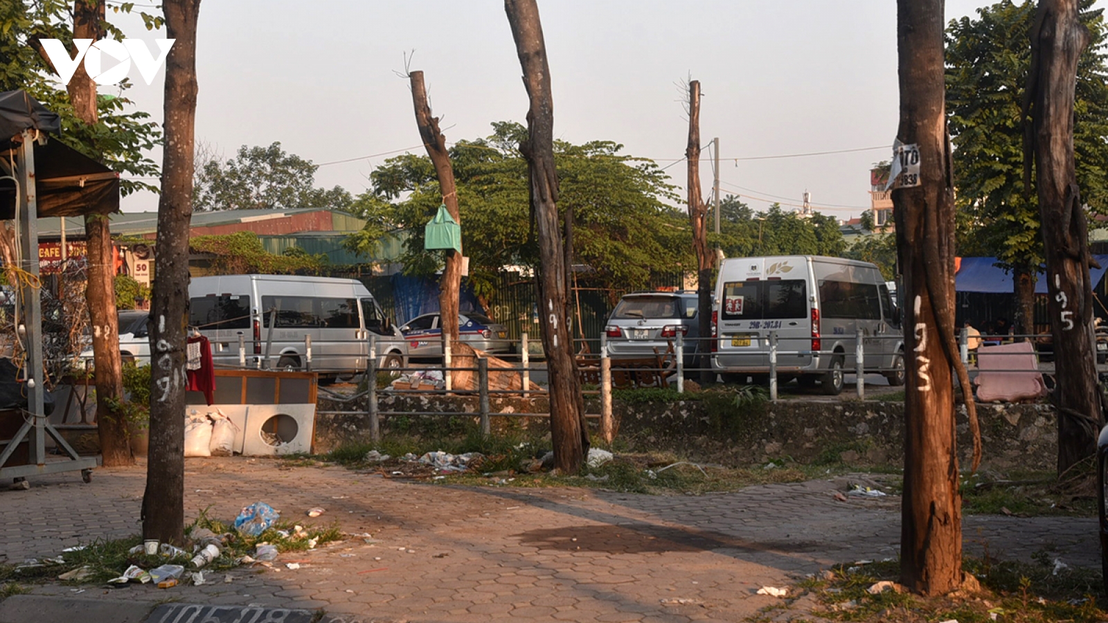 Hà Nội loạt cây xanh dựng lại sau bão chết khô trên phố Dương Văn Bé