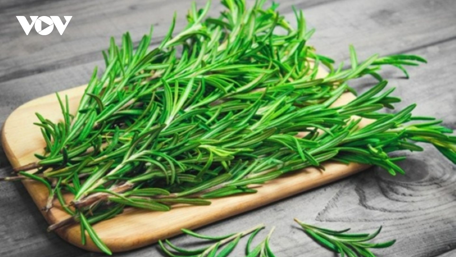 Loại cây thơm phức vừa là gia vị vừa là "thuốc bổ tự nhiên" mà ít người biết