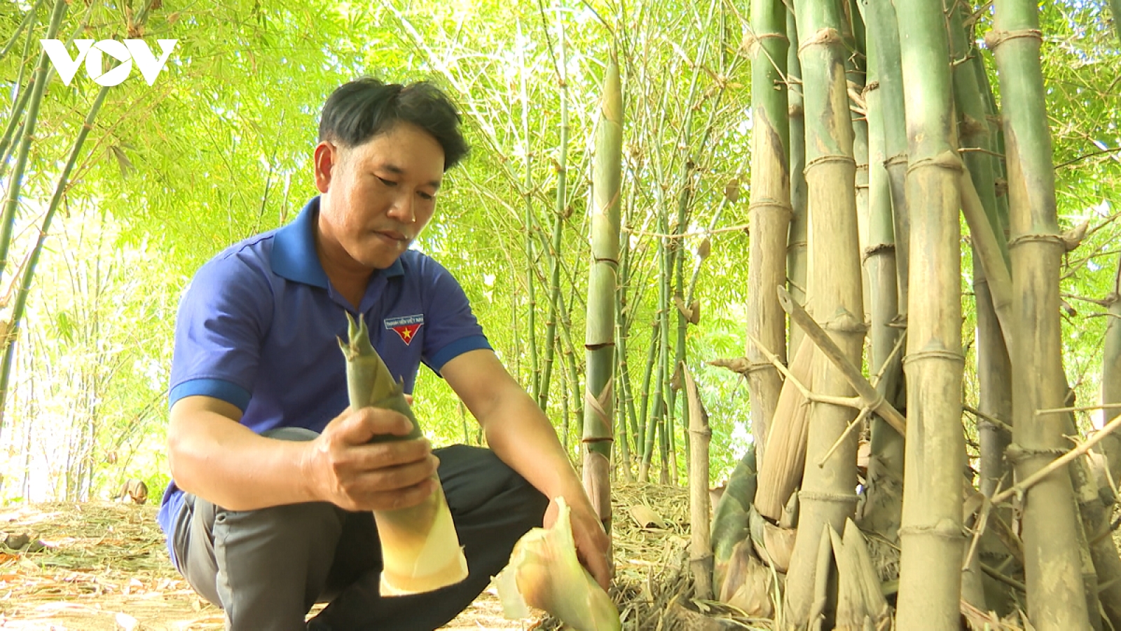 Những đảng viên tiên phong dẫn đường làm kinh tế