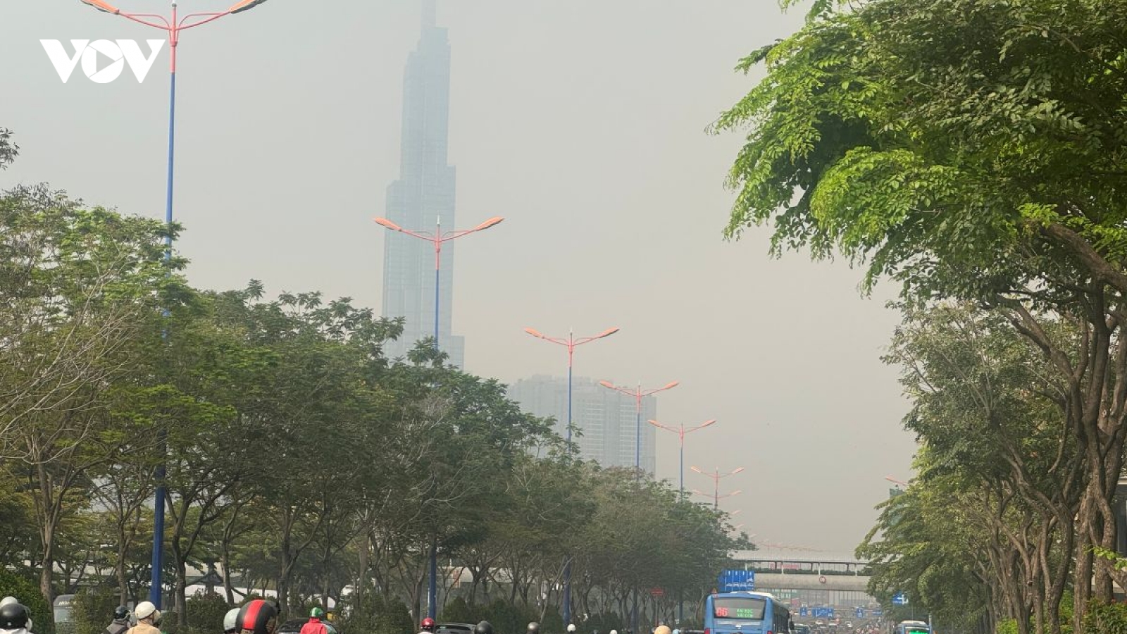 TP.HCM sẽ thu hồi nhiều dự án để phát triển cây xanh