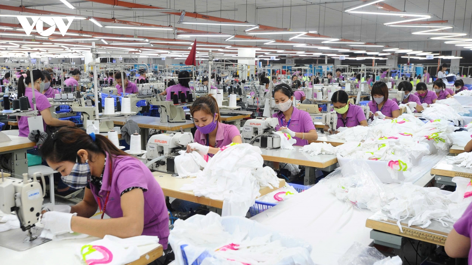 Vượt qua “sóng gió” năm 2025, thị trường lao động Việt Nam sẽ bứt tốc