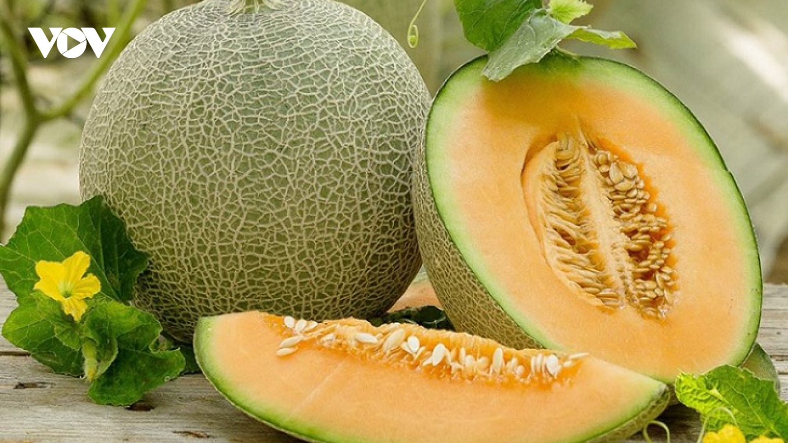 Muốn vết thương mau lành, đừng bỏ qua 8 loại trái cây này