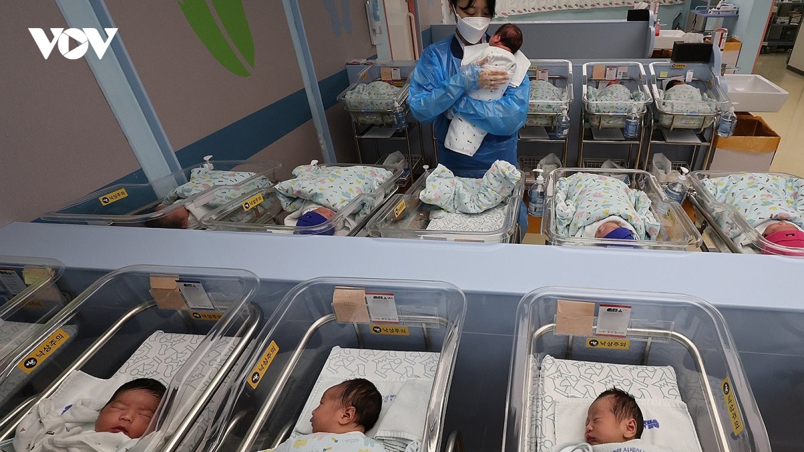 Khủng hoảng nhân khẩu học Hàn Quốc tiếp tục trầm trọng