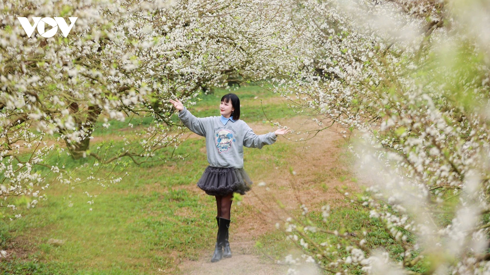 Mộc Châu - điểm đến hấp dẫn du khách dịp Tết Dương lịch