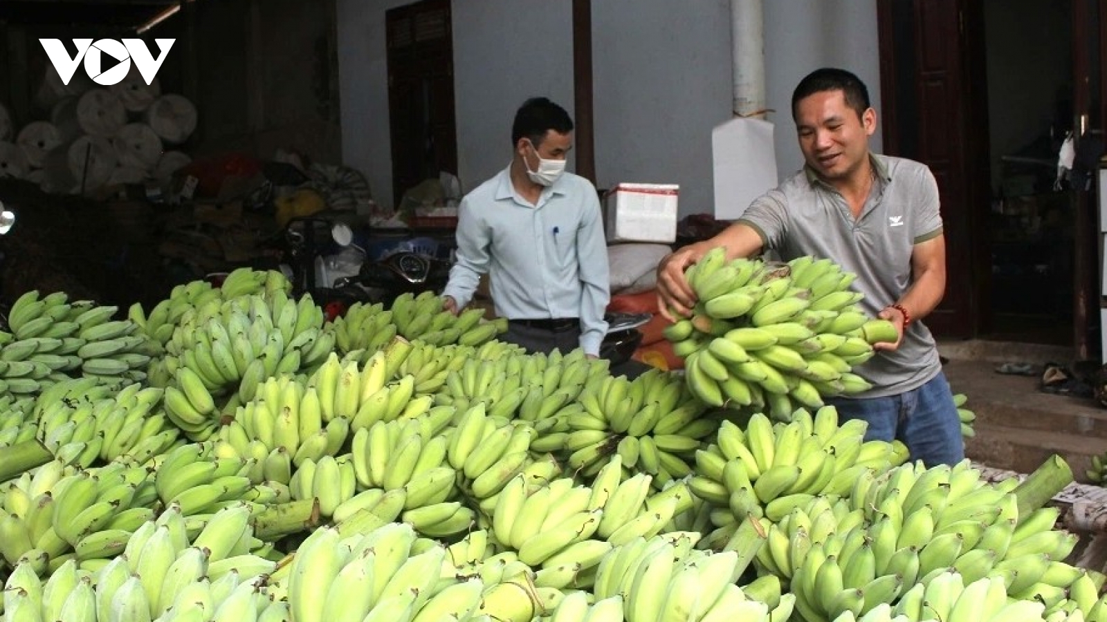 Nông sản, trái cây tiếp tục là sản phẩm xuất khẩu chủ lực của Sơn La
