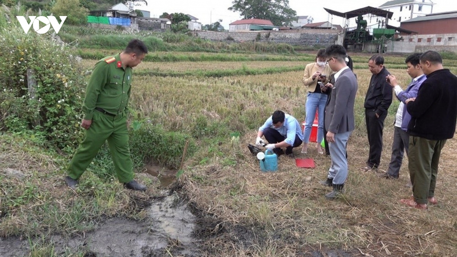 Xử phạt hơn 400 triệu đồng cơ sở sơ chế cà phê tại Sơn La