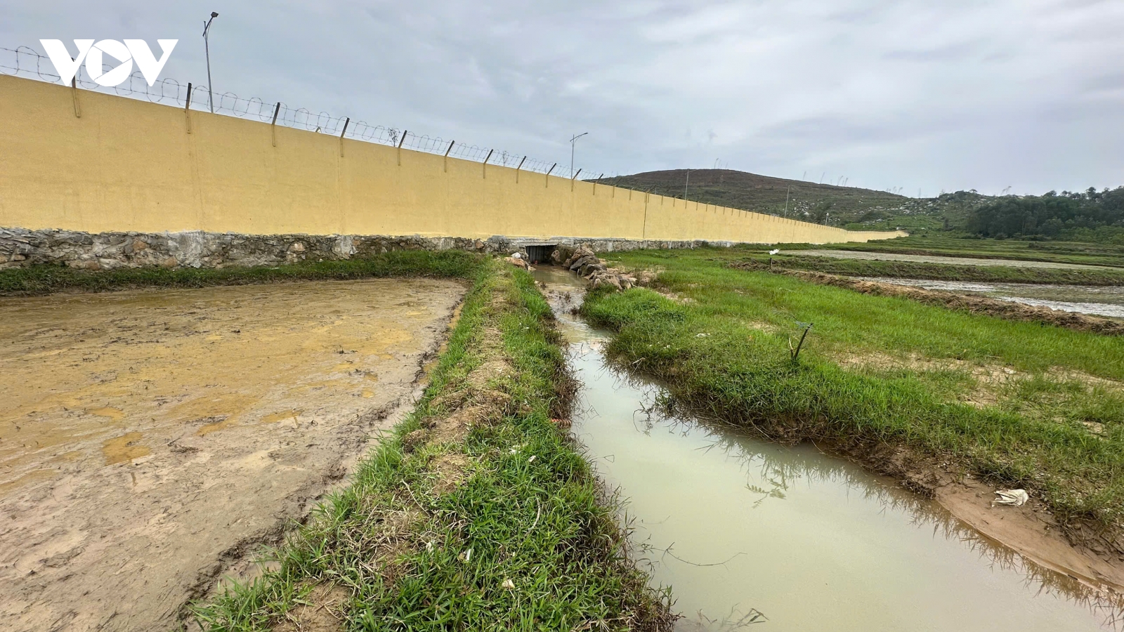 18 ha đất ở xã Vạn Tường (Quảng Ngãi) bị ảnh hưởng từ sự cố tràn dầu