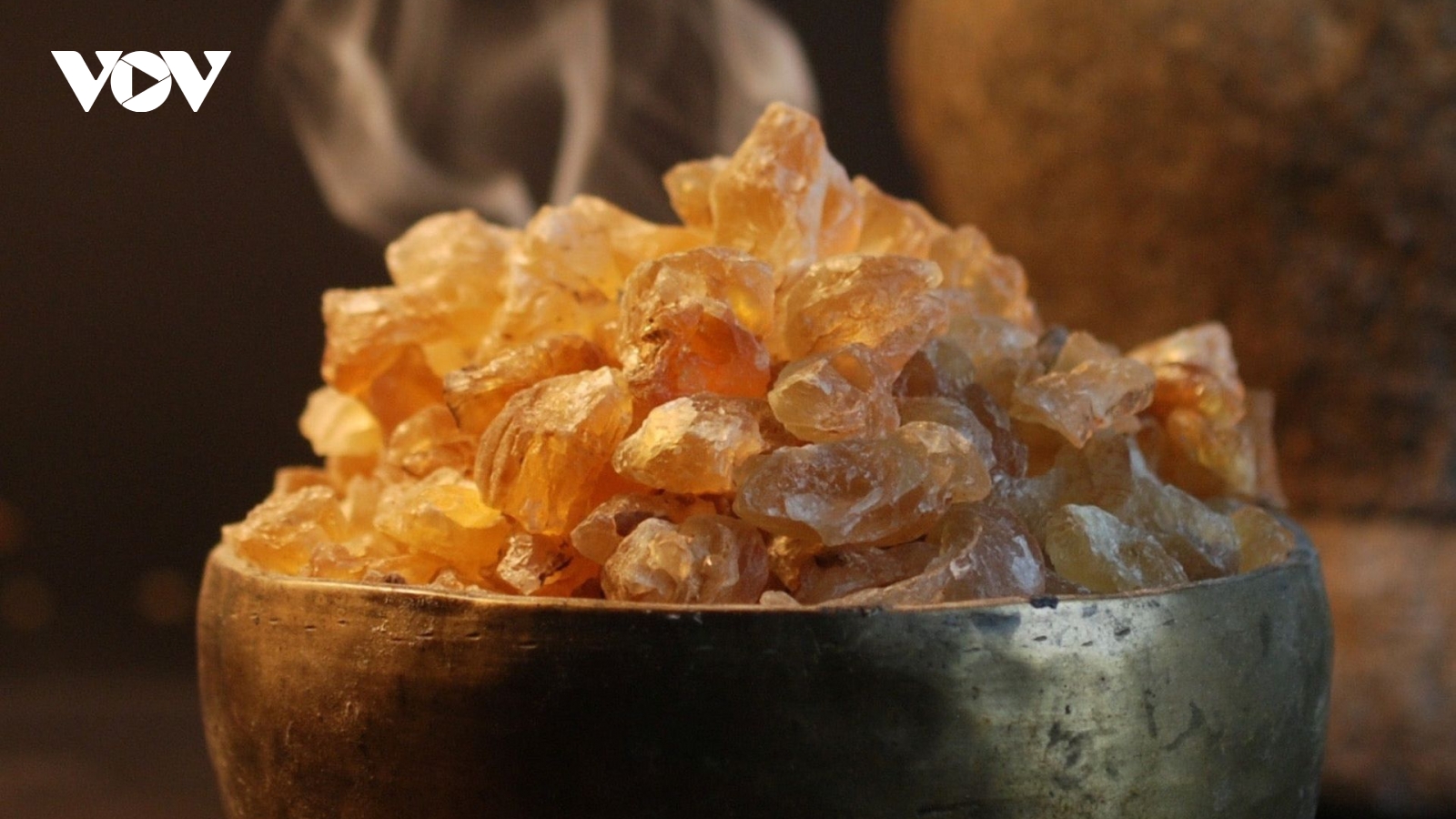 Loại nhựa cây ăn như tổ yến, là "thần dược" cho sức khỏe và sắc đẹp cực dễ tìm