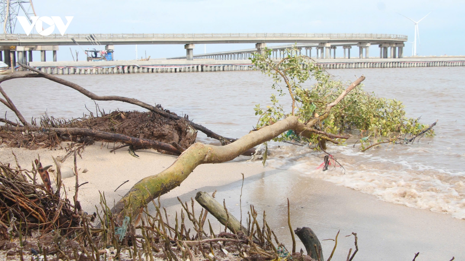 Cà Mau đầu tư hơn 185 tỷ đồng khép kín tuyến kè giảm sóng bảo vệ đê biển Đông
