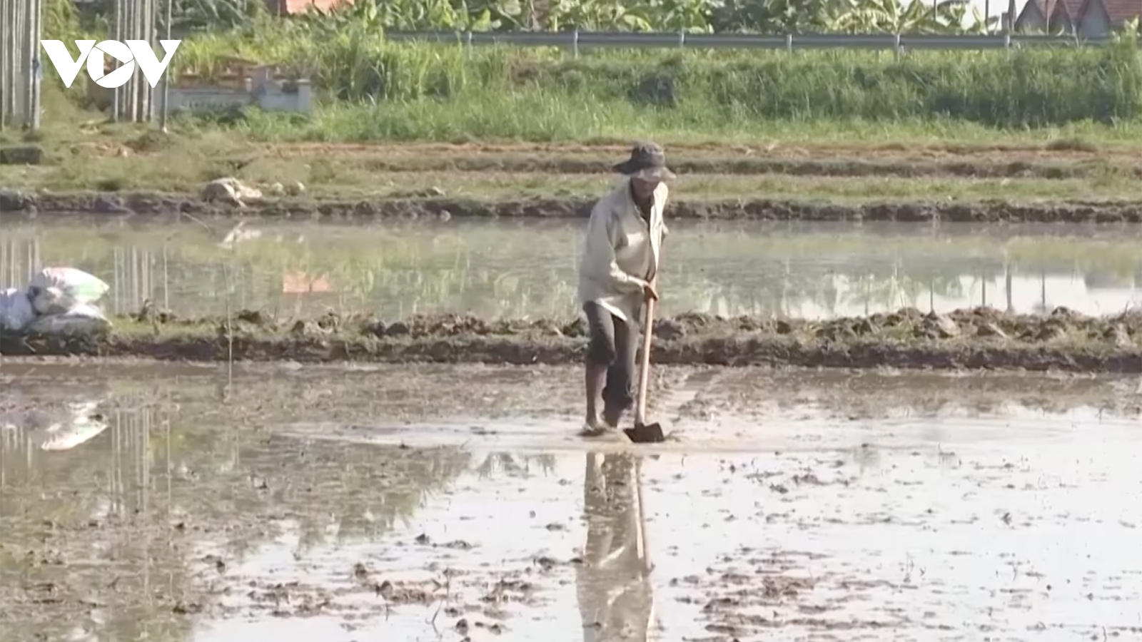 Quảng Ngãi khắc phục hệ thống kênh mương thủy lợi hư hỏng sau bão, lũ