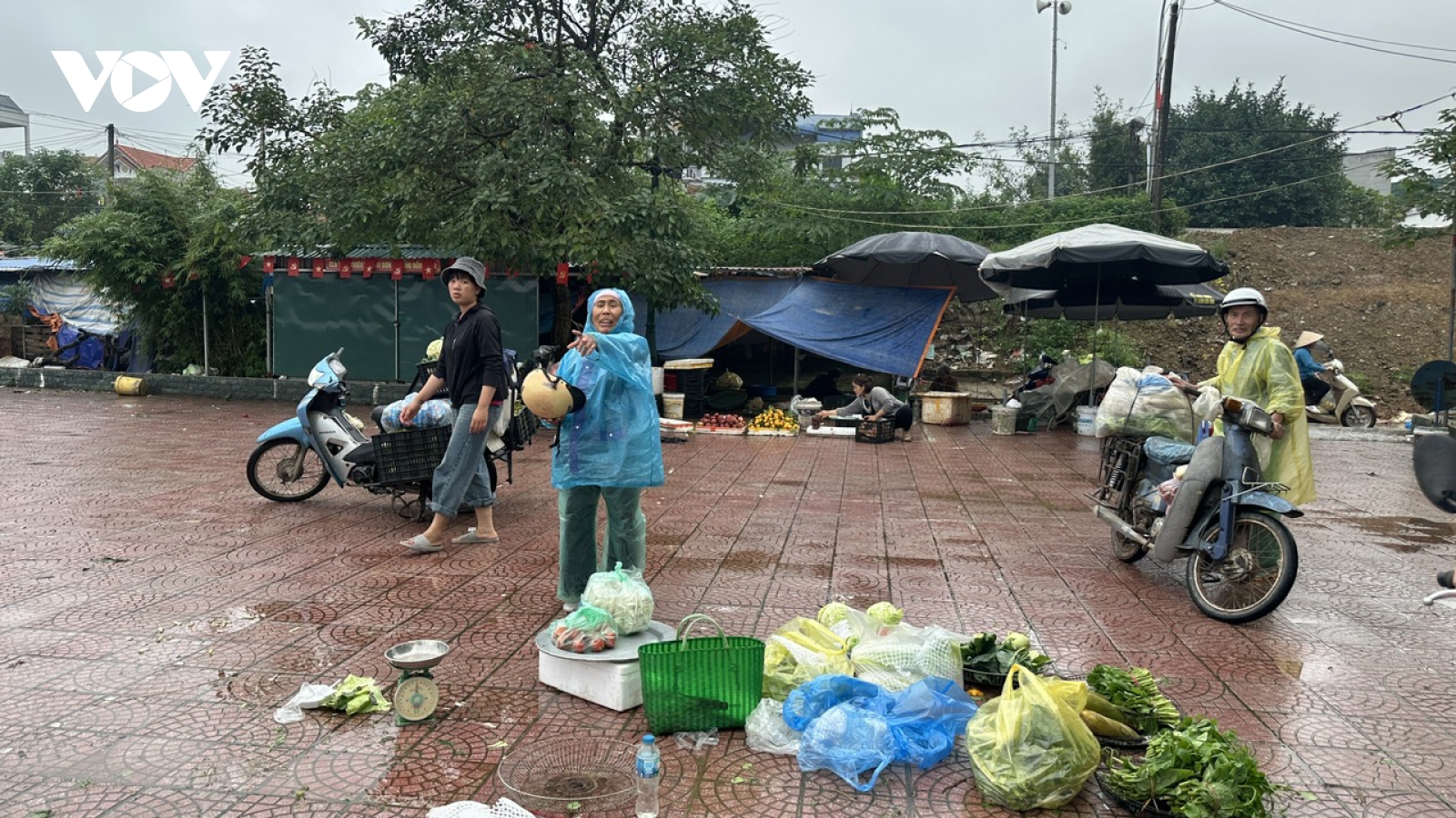 Nhiều khu vực ở Bắc Bộ và từ Thanh Hoá đến TP. Huế có mưa to