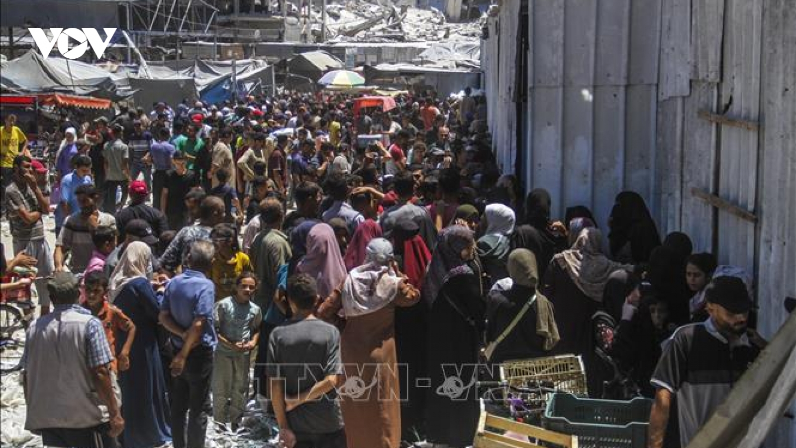1,6 triệu người Gaza vẫn đối mặt nguy cơ mất an ninh lương thực