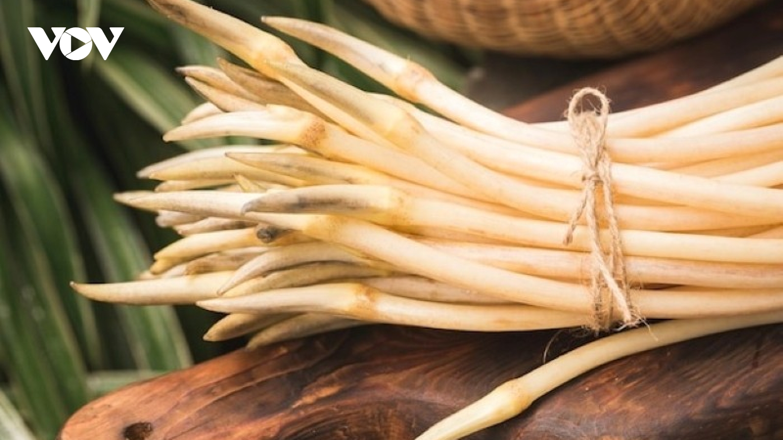 Vị "thuốc quý trời ban" bổ tim, chống lão hóa cực tốt lại cực sẵn ở Việt Nam