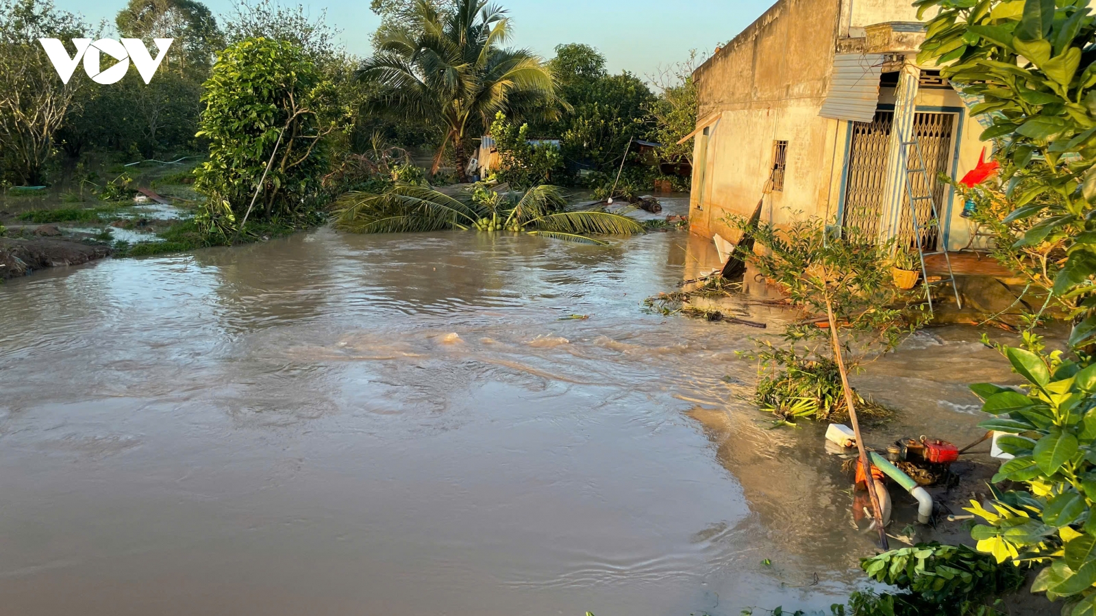 Tiếp tục xảy ra vỡ đê tại cồn Thanh Long gây ngập trên diện rộng tại Vĩnh Long