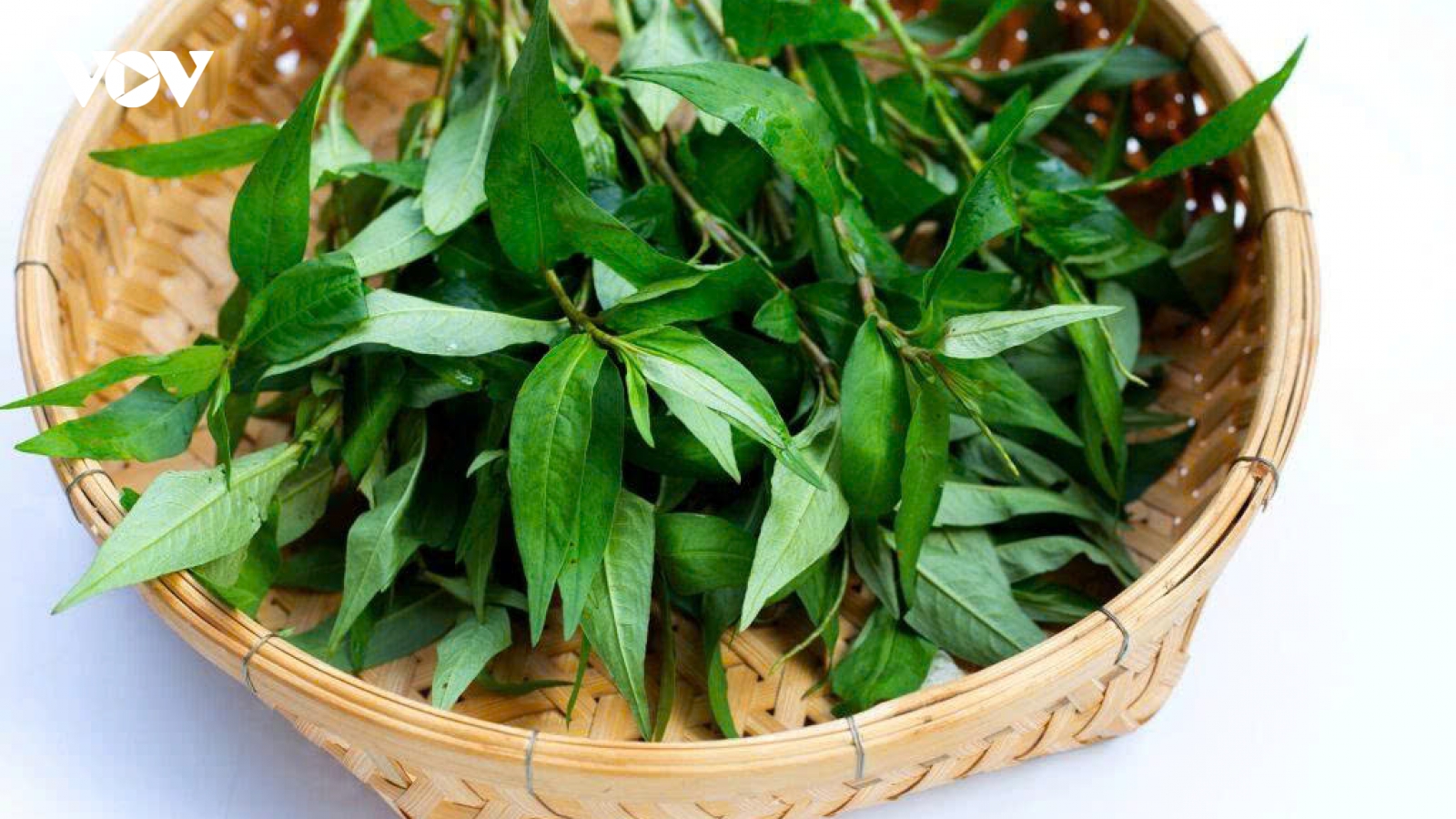 Những công dụng chữa bệnh ít người biết của rau răm