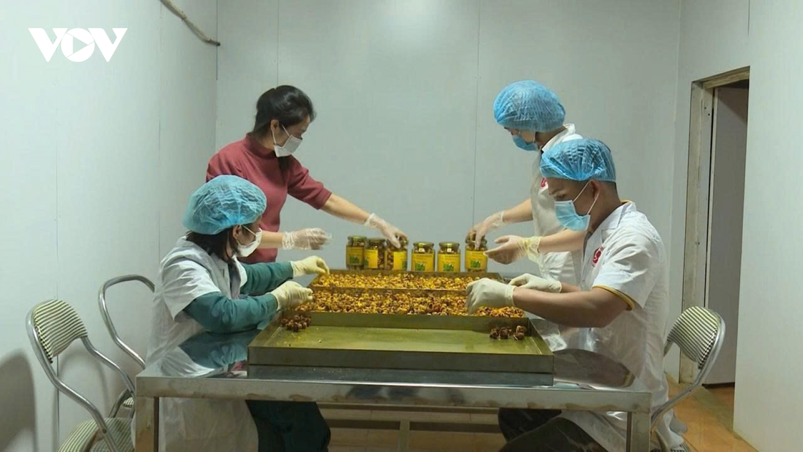 Liên kết trồng dược liệu mở hướng giảm nghèo ở vùng cao Thái Nguyên