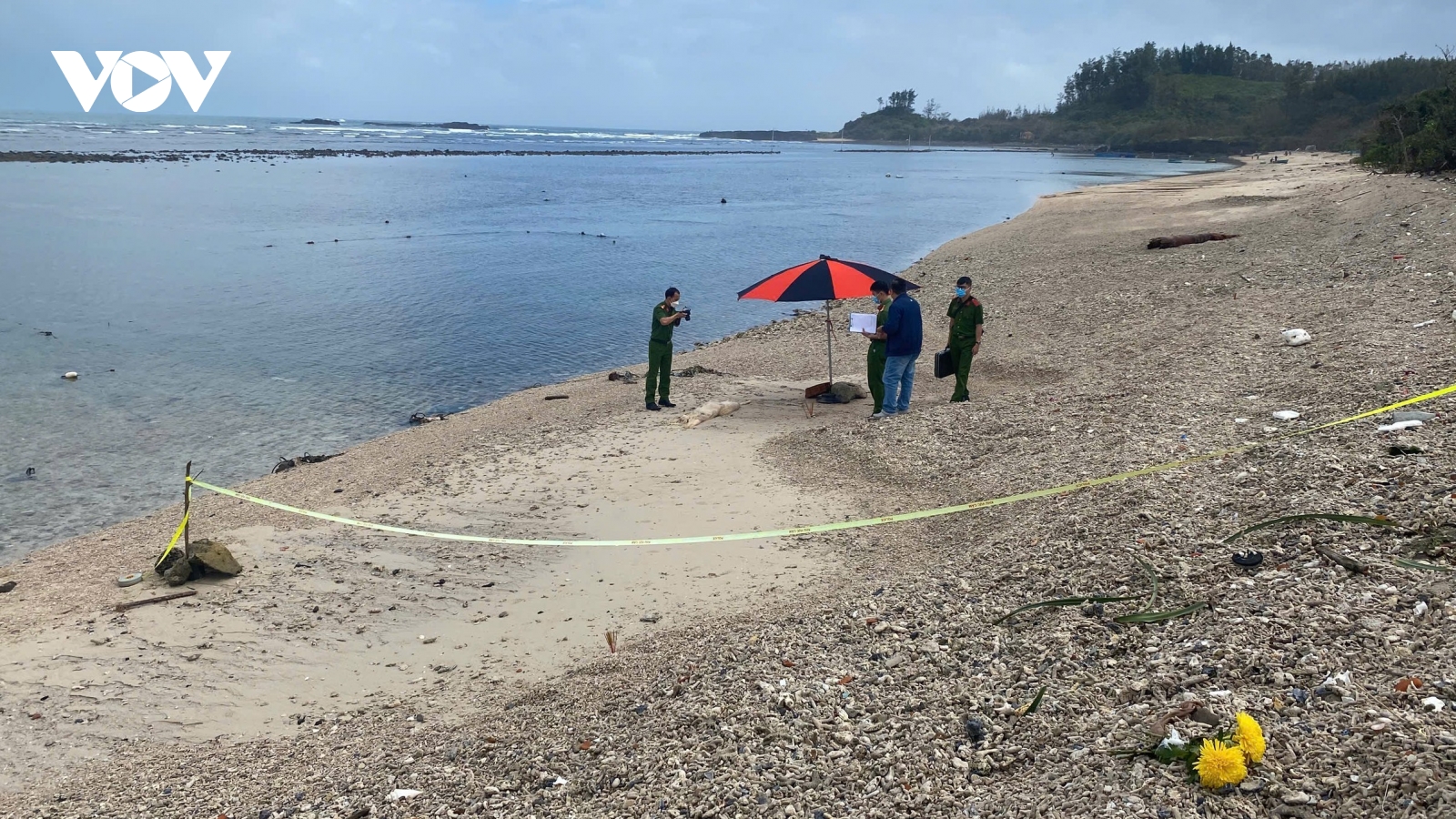Phát hiện thi thể trôi dạt vào bờ biển Quảng Ngãi