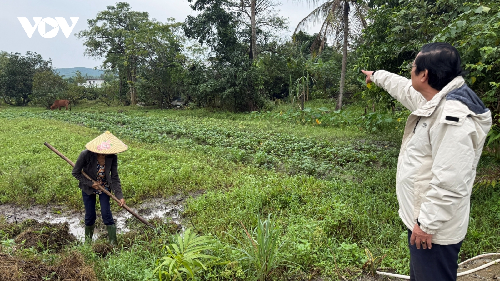 Gần 10 năm, một người dân Đà Nẵng ngược xuôi làm thủ tục vẫn không được cấp sổ đỏ