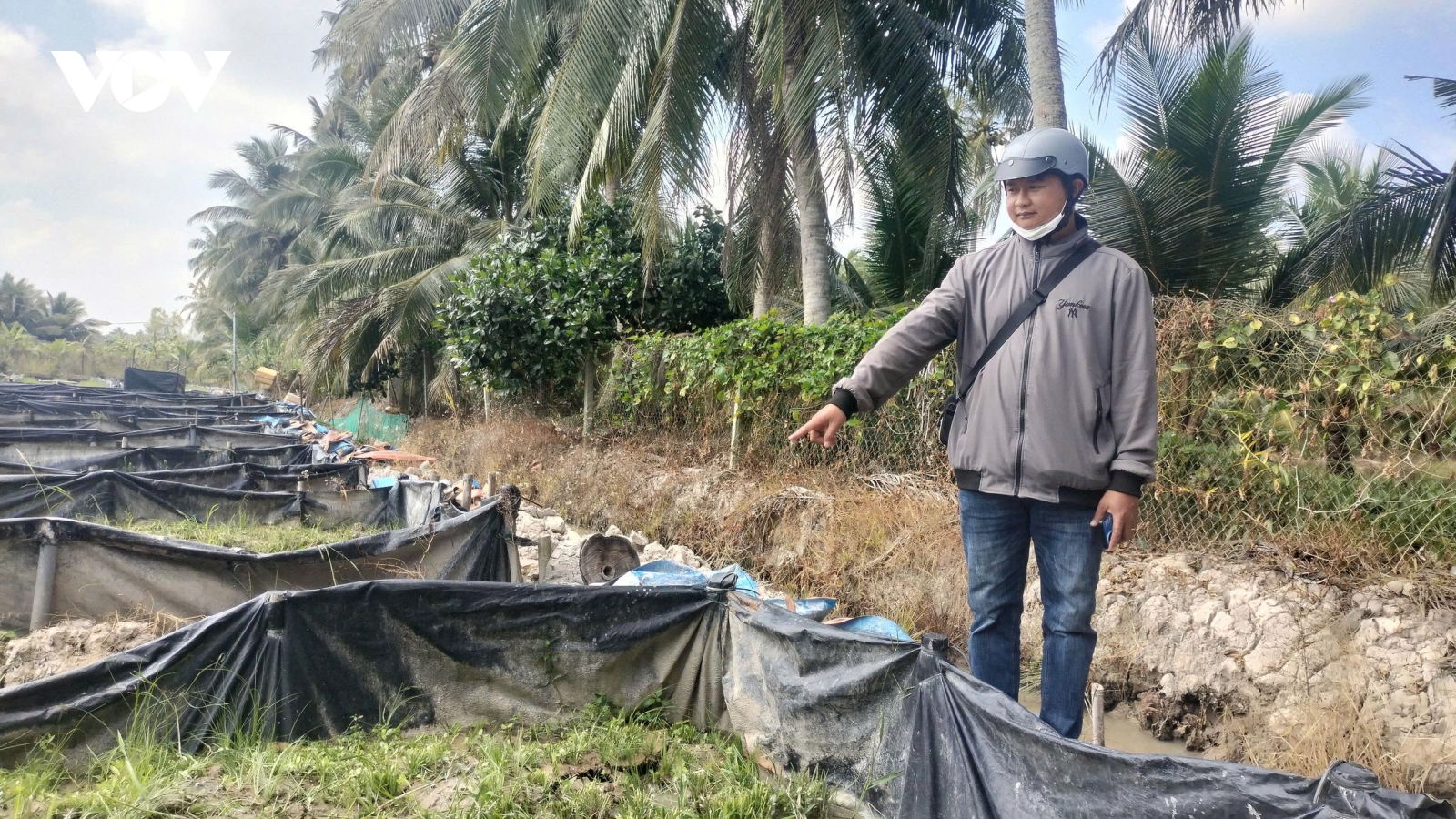 Vĩnh Long: Mở cửa cống gây nước tràn thiệt hại sản xuất của nông dân