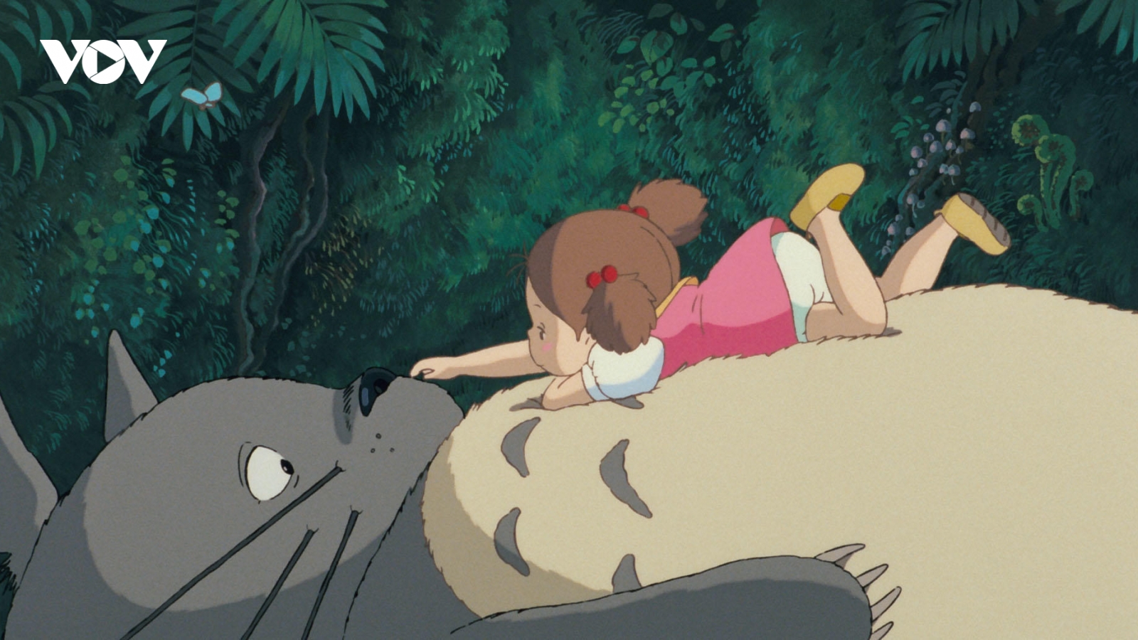 Totoro trở lại rạp Việt và loạt ấn phẩm mới của Ghibli lần đầu ra mắt độc giả