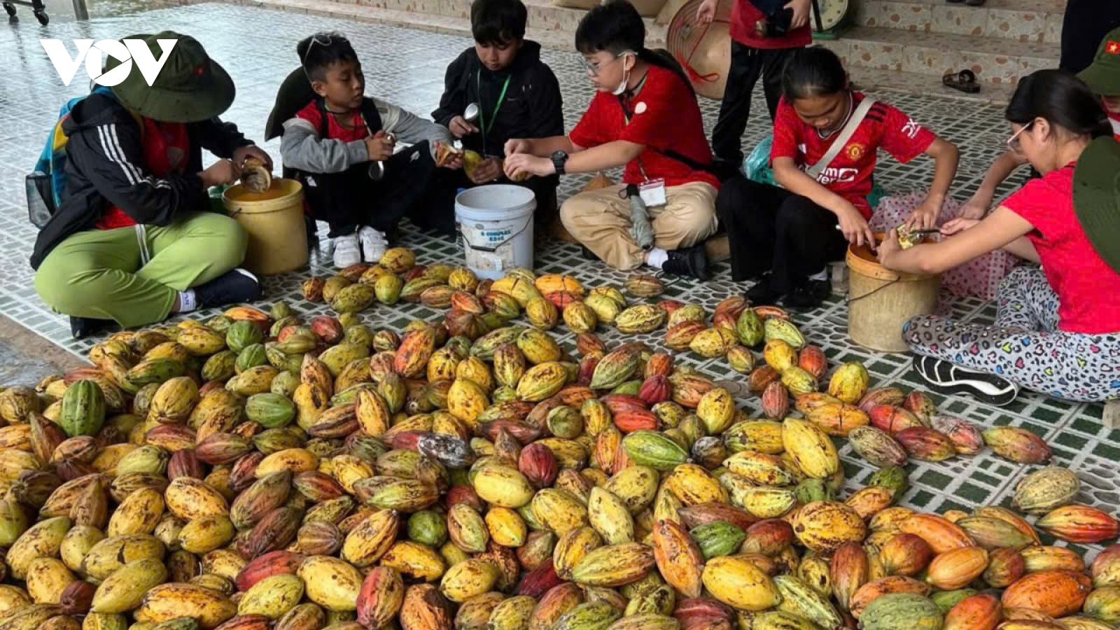 Người phụ nữ Đồng Tháp nâng tầm hạt ca cao Việt Nam vươn ra thế giới