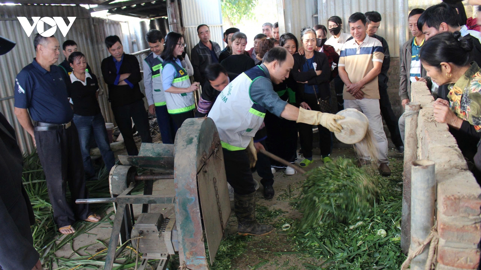 Trạm Tấu không thả rông gia súc khi nhiệt độ dưới 5°C