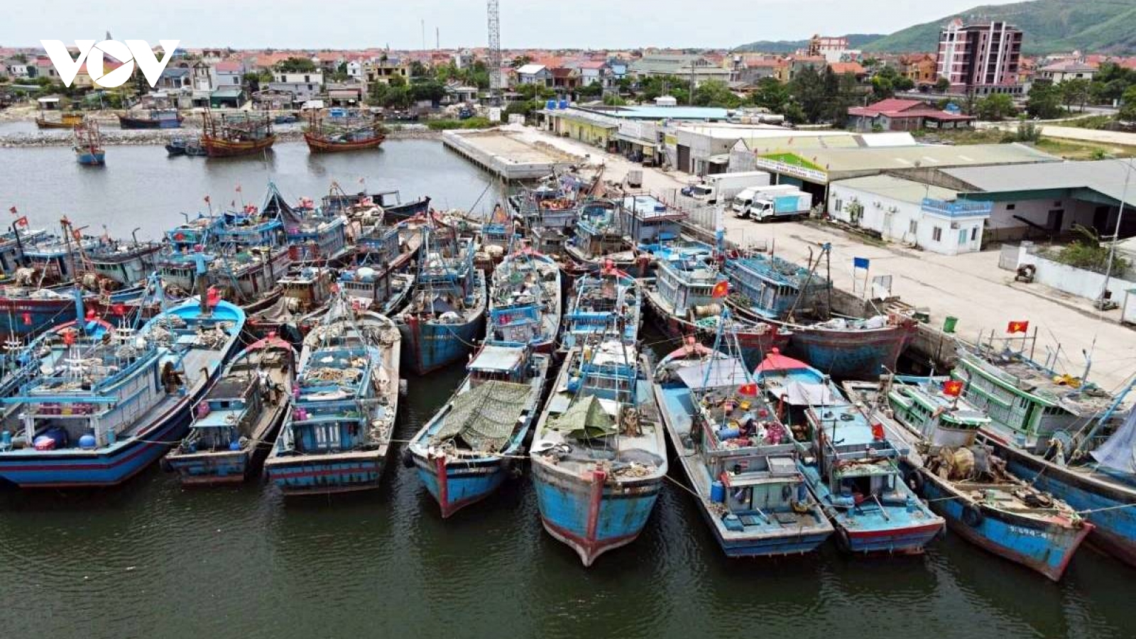 Vietnam takes firmer stance on IUU fishing as it targets sustainable fisheries