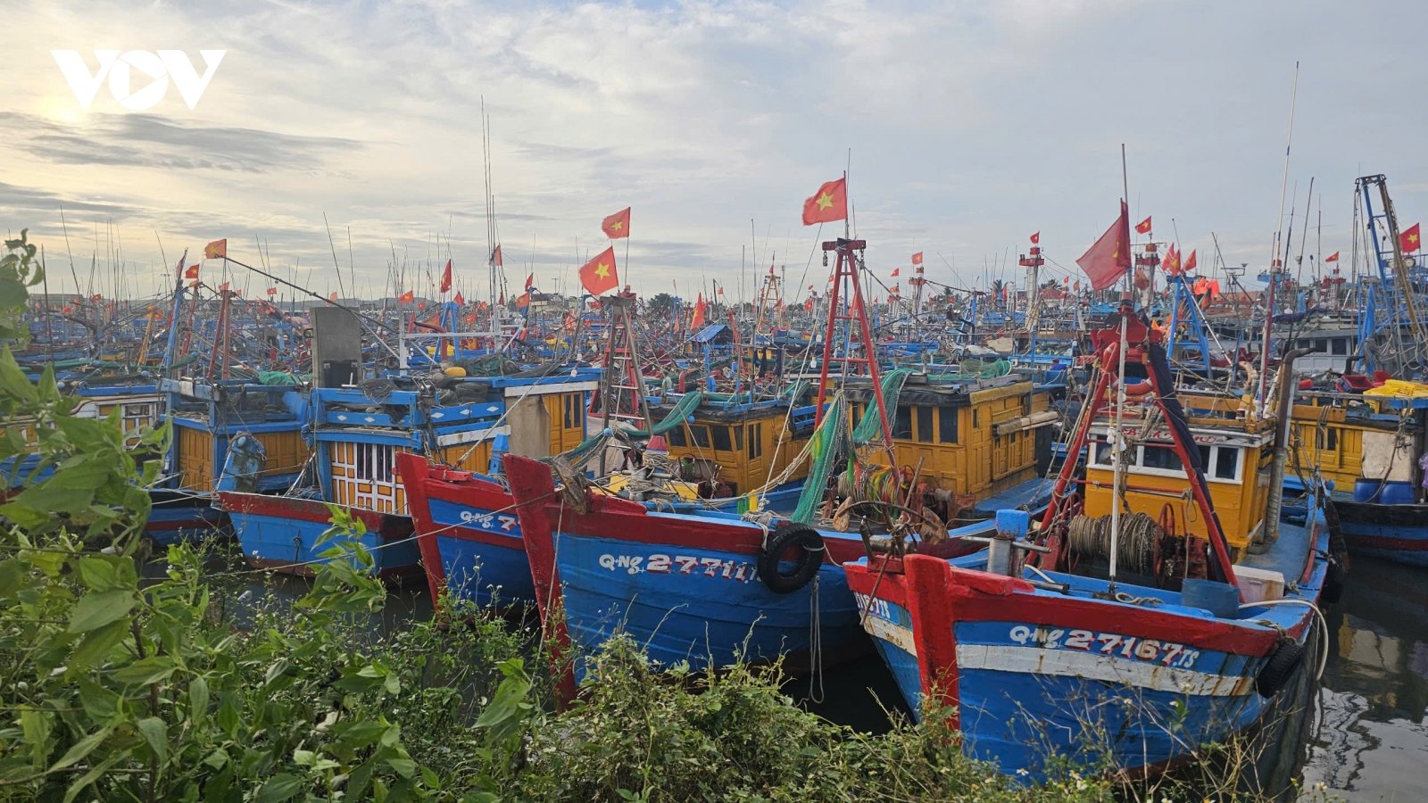 Quảng Ngãi chi hơn 20 tỷ đồng hỗ trợ ngư dân giải bản tàu cá, chuyển đổi nghề