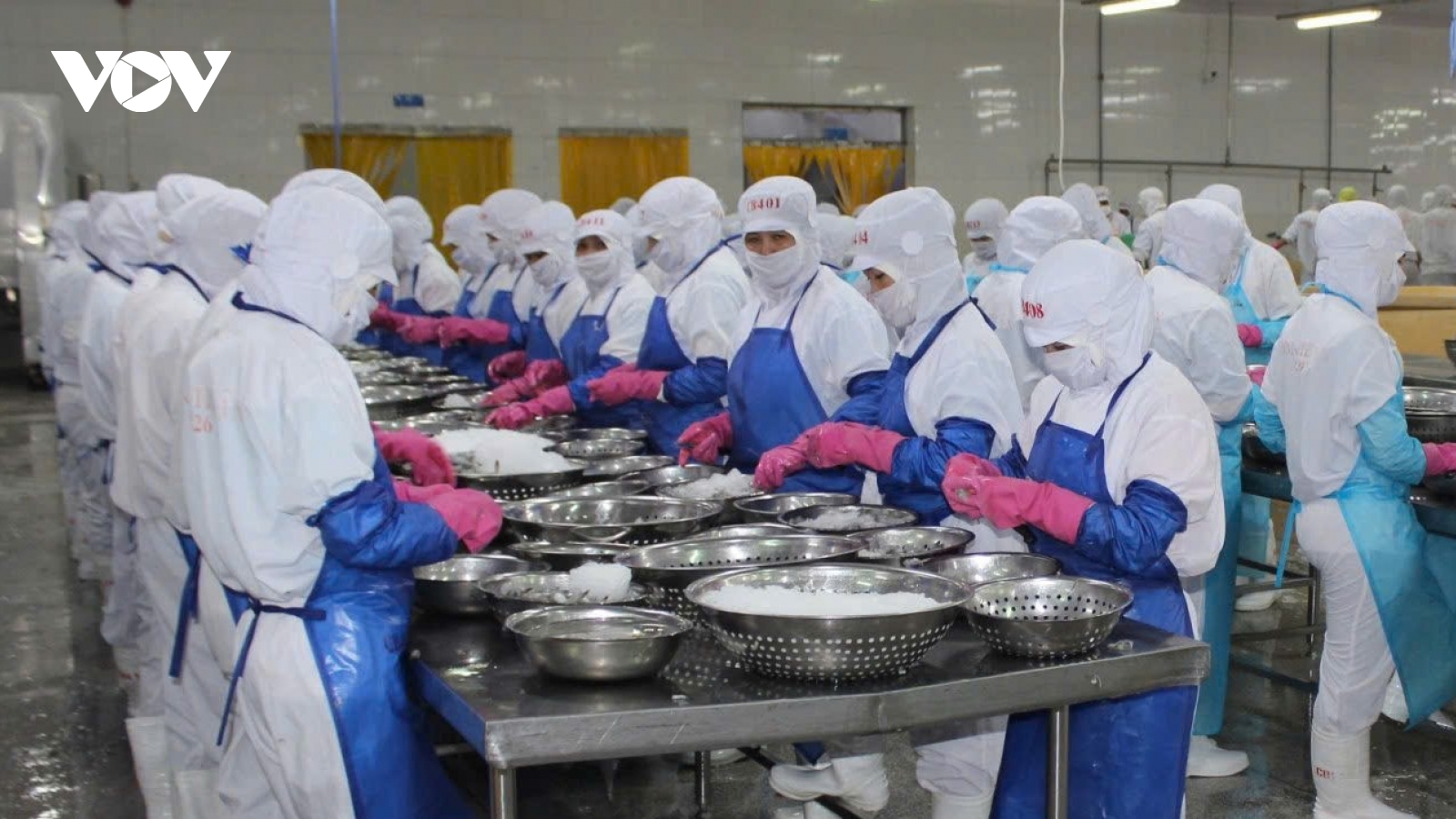 Hỗ trợ doanh nghiệp thủy sản giảm rủi ro, mở rộng thị trường trước rào cản