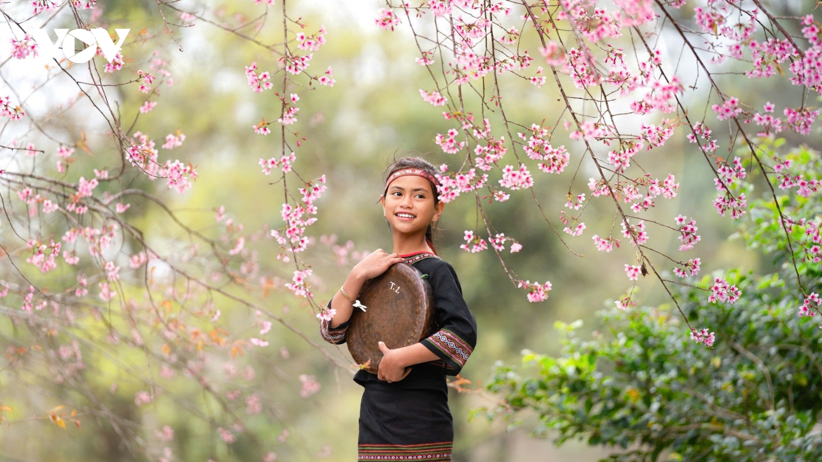 Cần giải pháp tổng thể để du lịch Quảng Ngãi phát triển bền vững