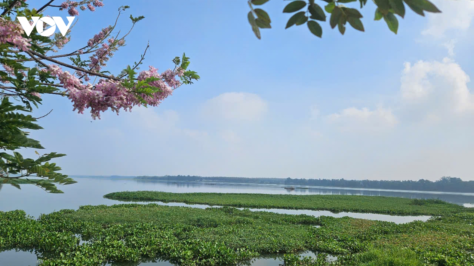 Hồ thủy lợi Tha La vào xuân