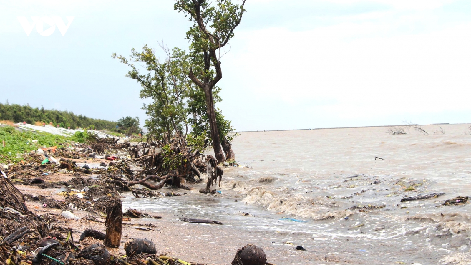 Cà Mau duyệt chi hơn 26.800 tỷ đồng thực hiện đề án phòng chống sạt lở