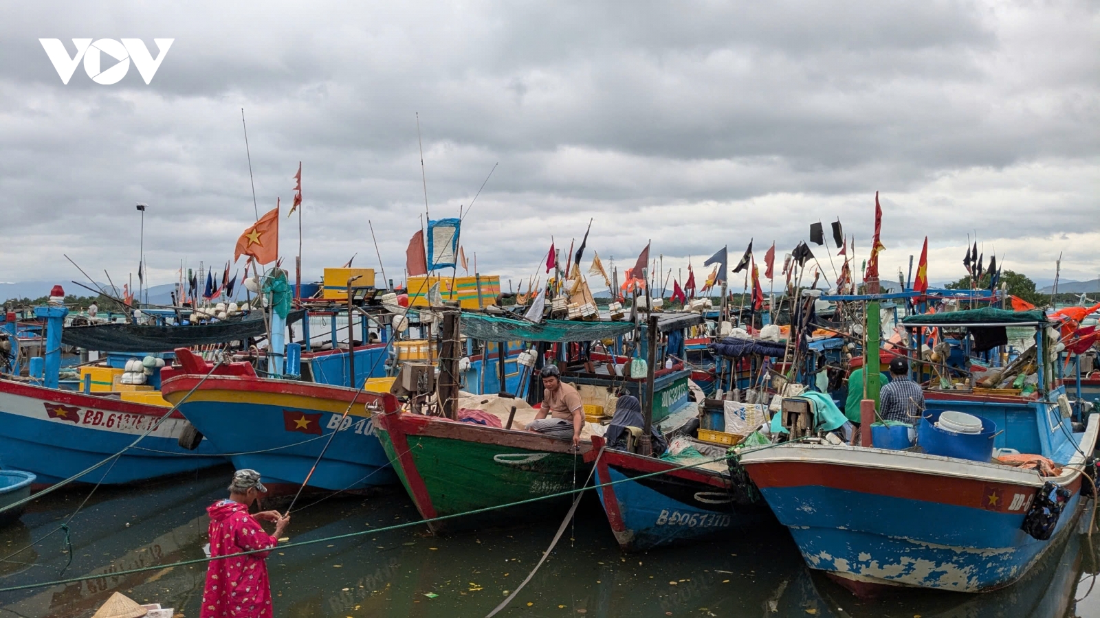 Ngư dân Gia Lai chuyển đổi số để minh bạch nghề cá, hướng tới gỡ “thẻ vàng” IUU