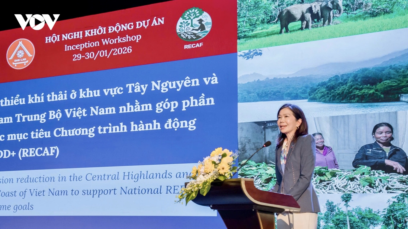 Hơn 102 triệu USD bảo vệ rừng, nâng sinh kế Tây Nguyên và Nam Trung Bộ