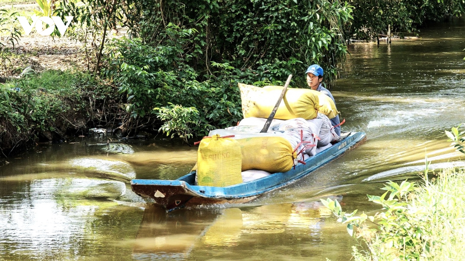 Nông dân Đất Mũi kỳ vọng nông nghiệp phát triển đột phá sau Đại hội XIV