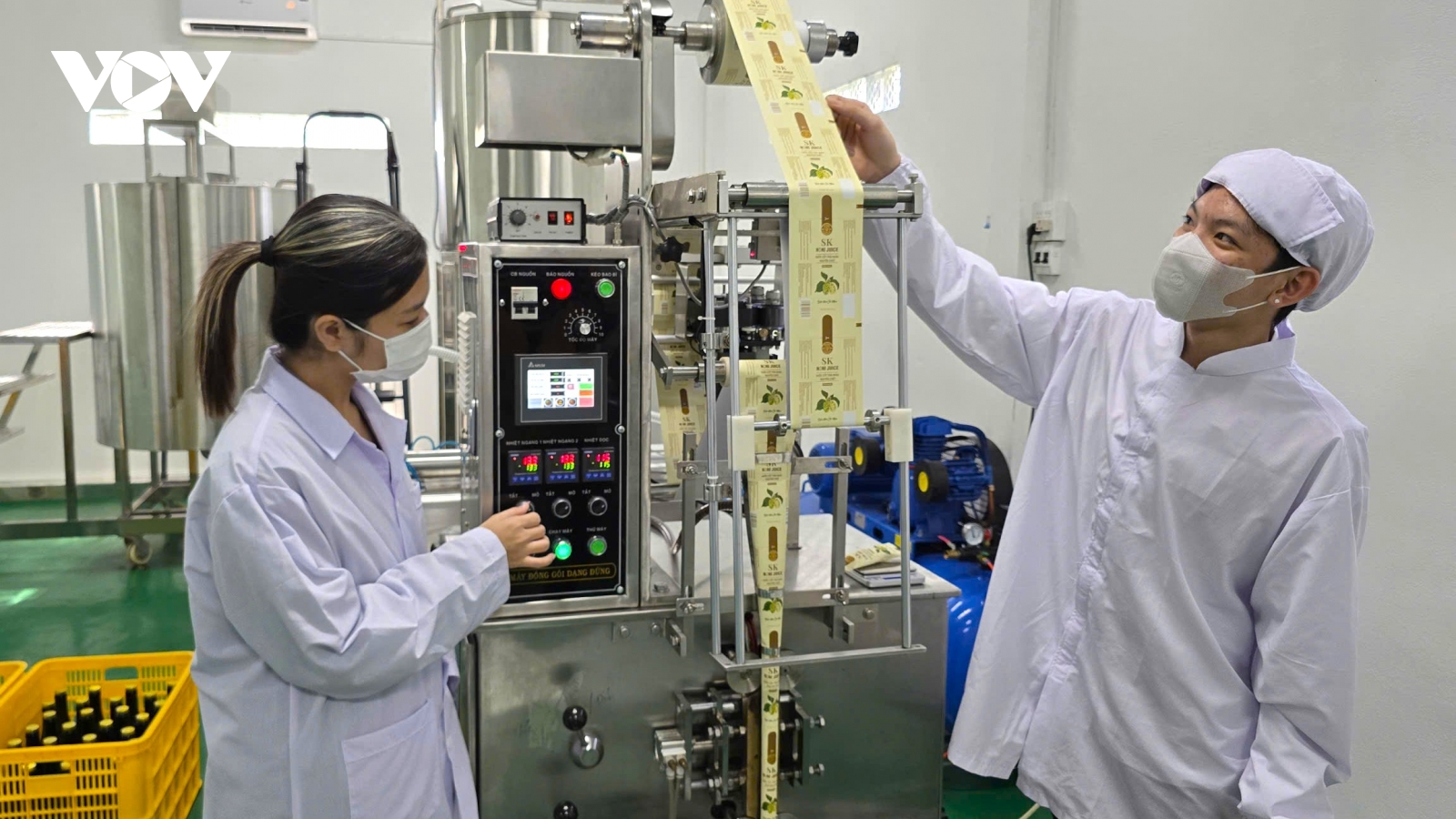 Người nâng tầm "cây dại" U Minh Hạ thành sản phẩm “4 sao”