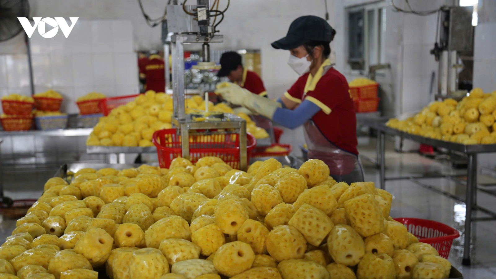 Doanh nhân xứ Thanh kỳ vọng “đột phá của đột phá” từ Đại hội XIV của Đảng