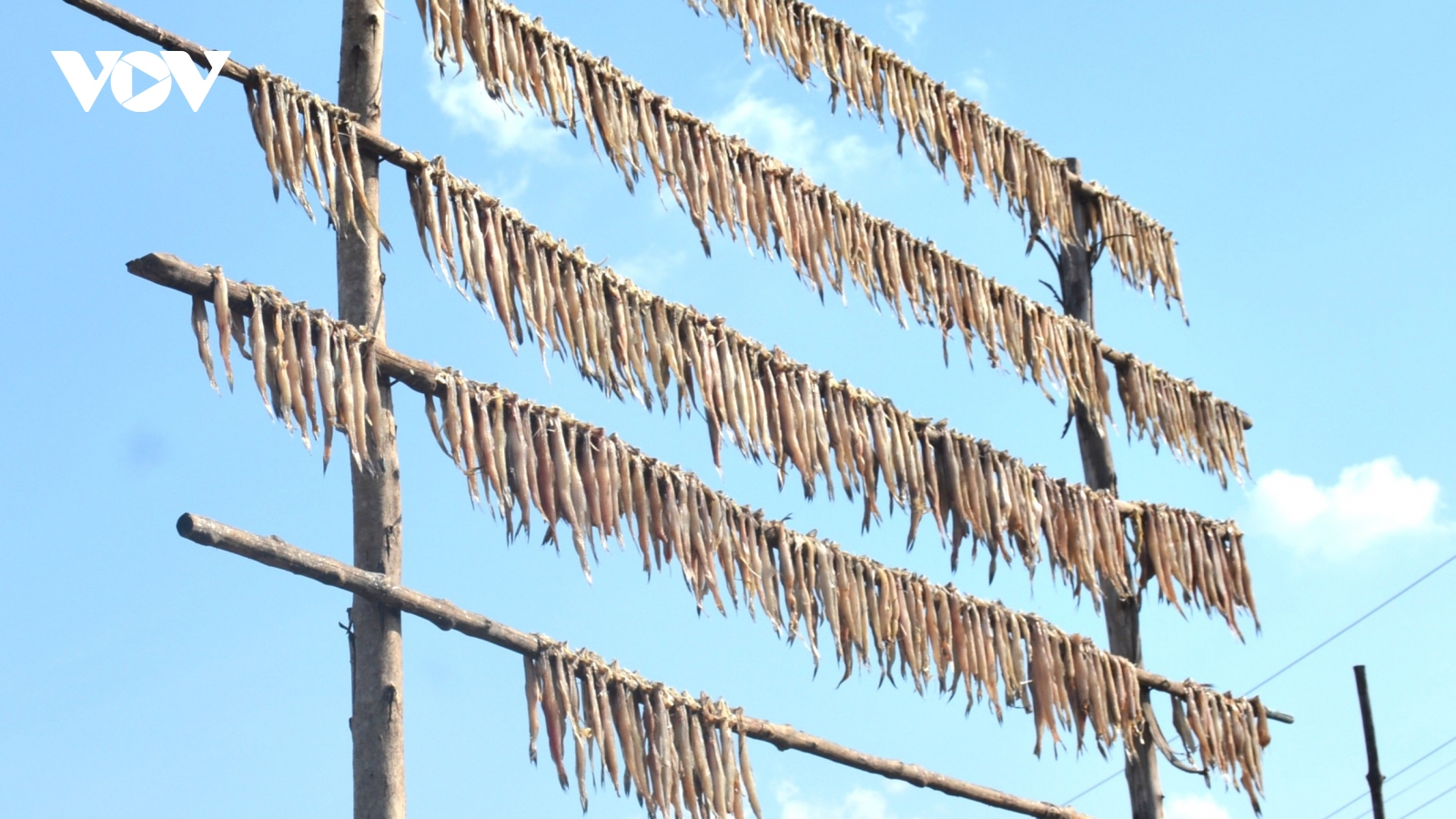 Đặc sản Cà Mau: Khô cá khoai, tôm khô vào vụ đón Tết