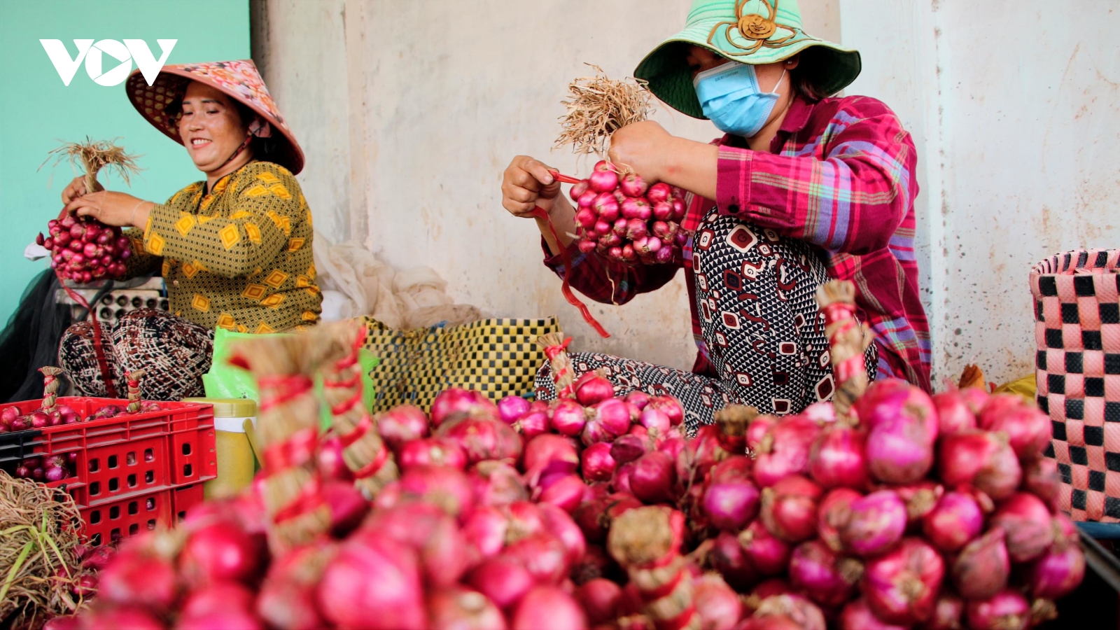 Nghề gia công củ hành tím, sinh kế cho lao động địa phương ở Cần Thơ