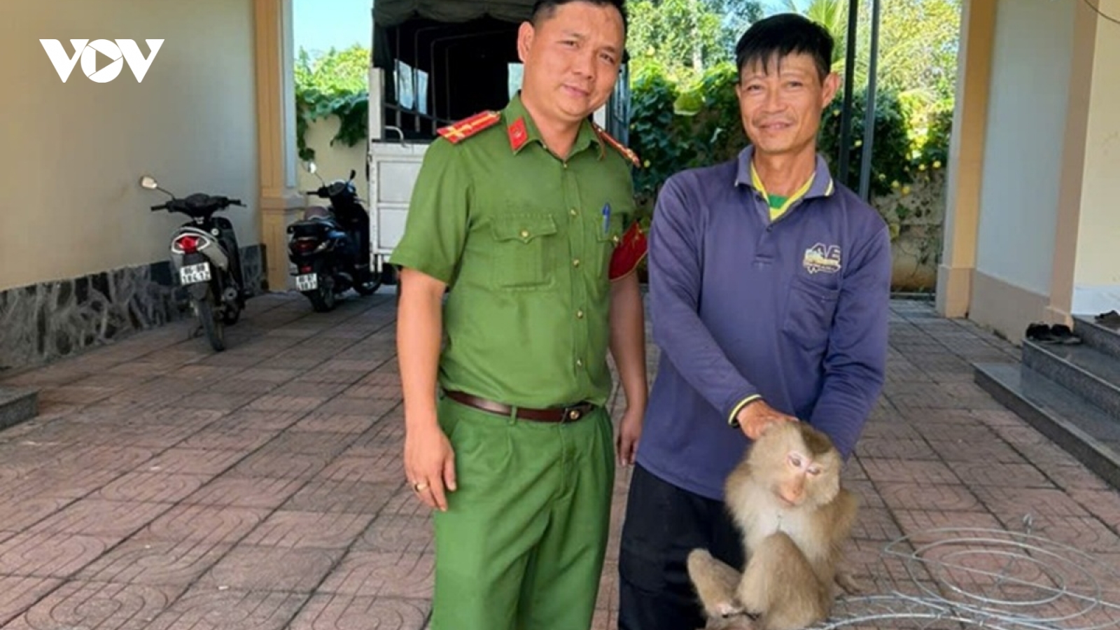 Phát hiện 1 cá thể khỉ bị mắc lưới tại chuồng gà nhà dân ở Lâm Đồng