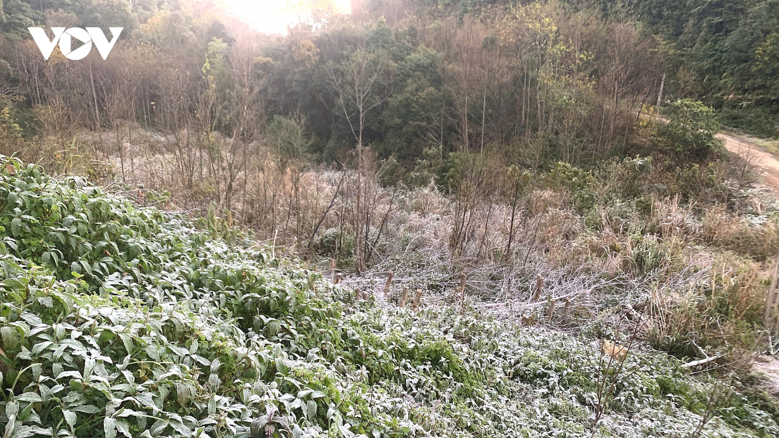 Nhiệt độ xuống cực thấp, băng giá phủ trắng nhiều nơi tại xã biên giới Nghệ An
