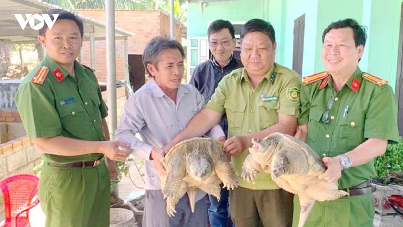 Một người dân Lâm Đồng giao nộp hai con rùa quý hiếm