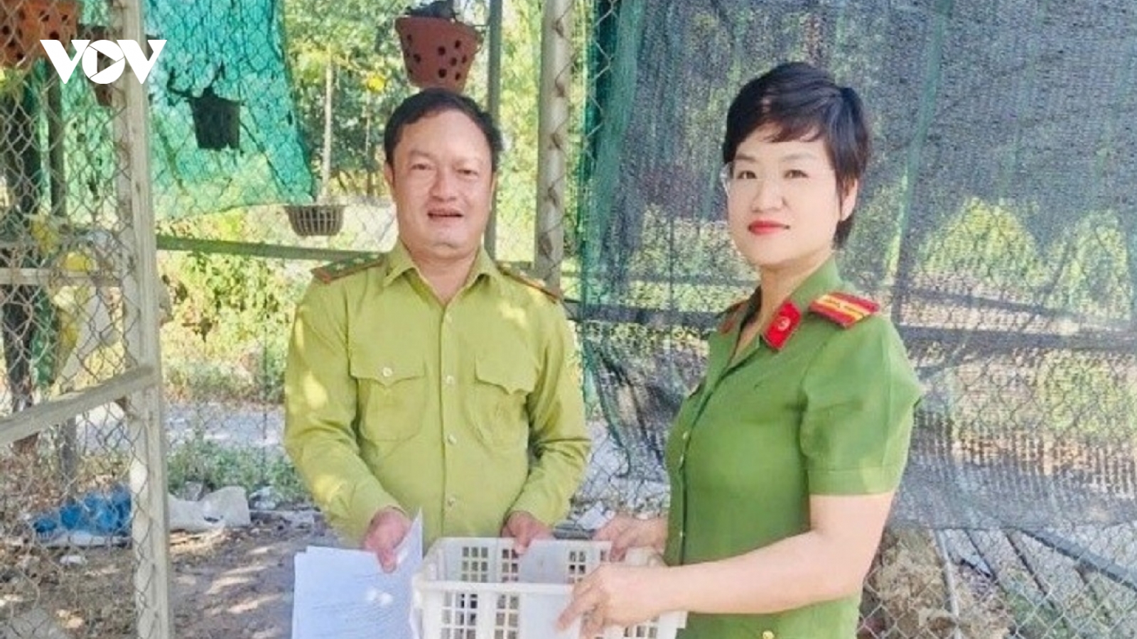 Phát hiện nhiều động vật hoang dã bị nuôi nhốt trái phép ở Lâm Đồng