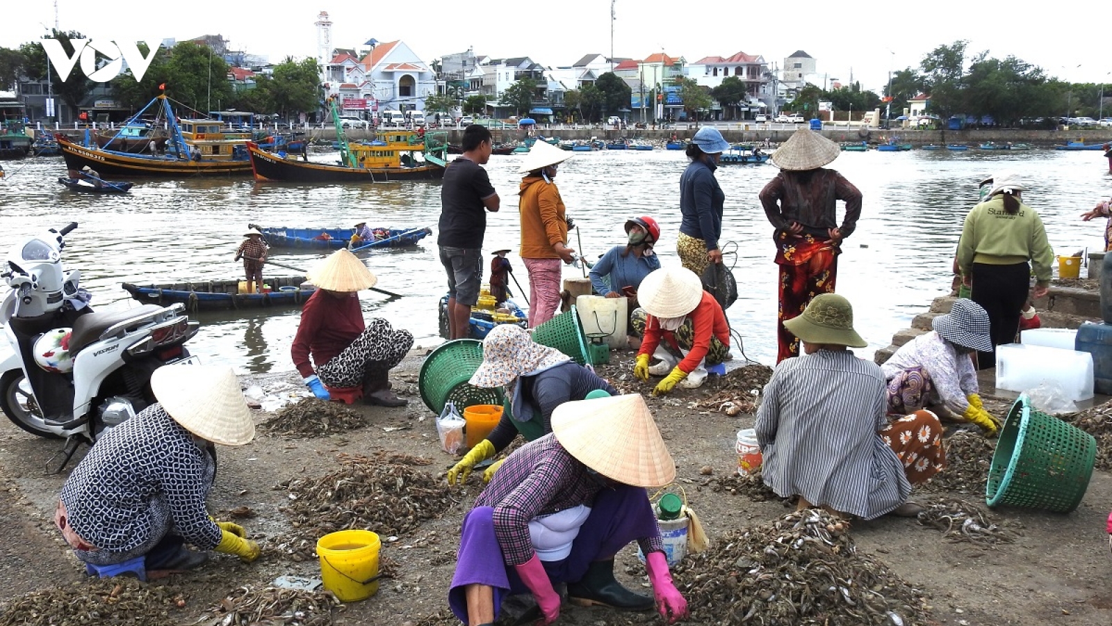 Lâm Đồng xác định nhu cầu nguồn lực đầu tư hạ tầng cảng cá