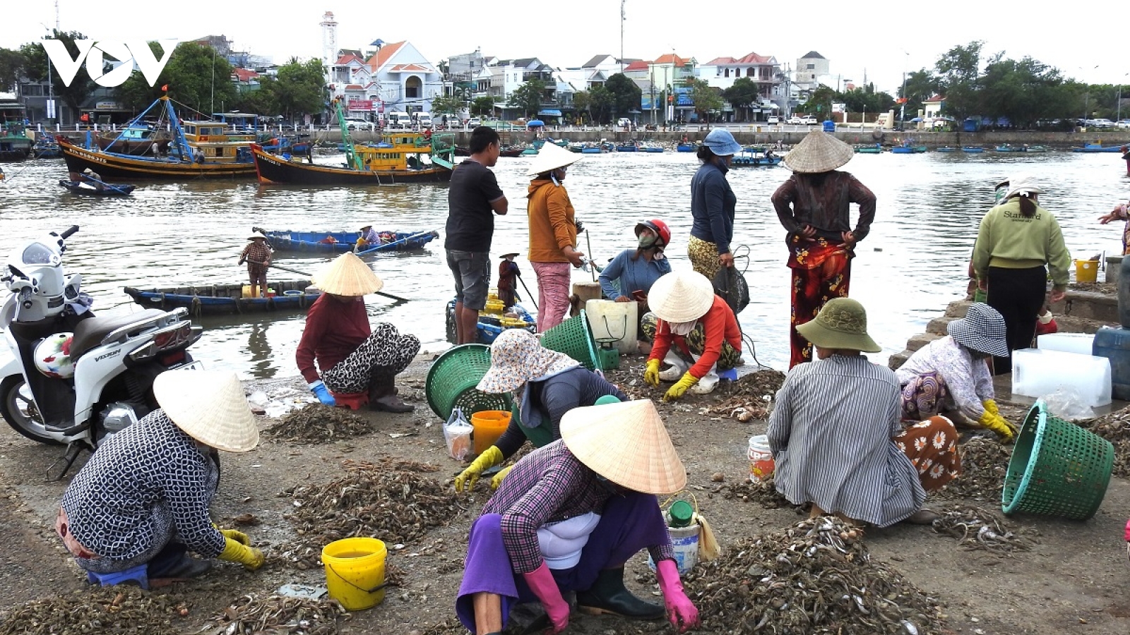 Lâm Đồng xác định nhu cầu nguồn lực đầu tư hạ tầng cảng cá