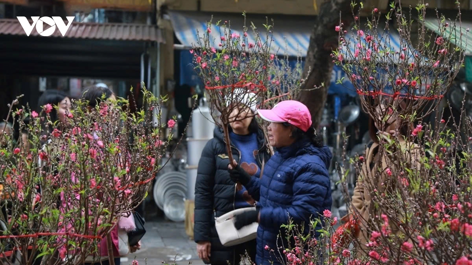 New cold spell to hit Vietnam on Jan. 30. chilly conditions expected