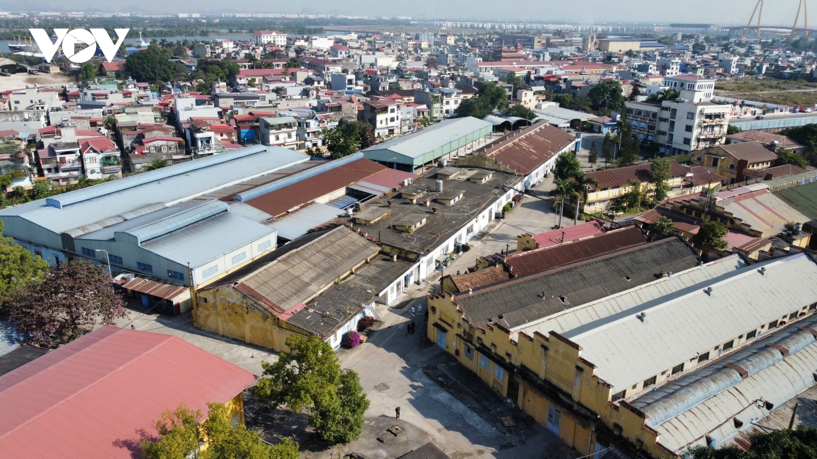 Khởi tố Tổng giám đốc Công ty CP Đồ hộp Hạ Long