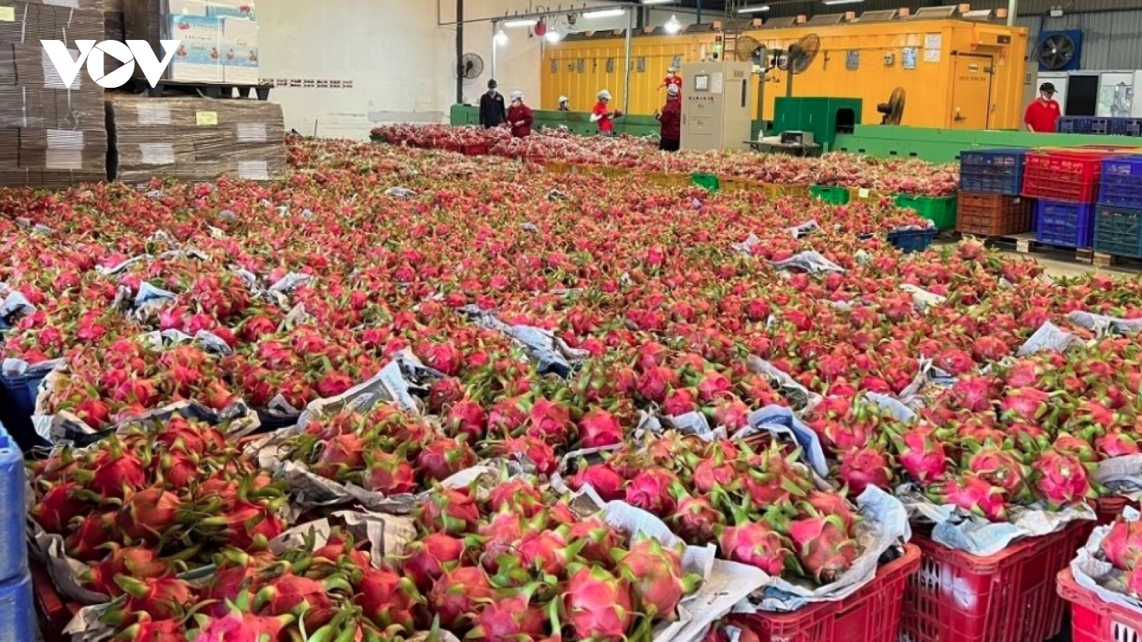 Agro-forestry-fishery exports target US$73-74 billion in 2026